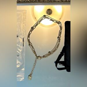 ✨✨ Dannijo Double Gold Anklet ✨✨